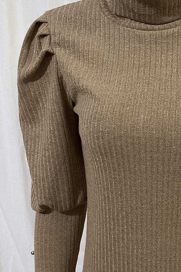 Women's Long Sleeve Turtleneck Top for Casual Chic Wear Rebooters Womens Shirts