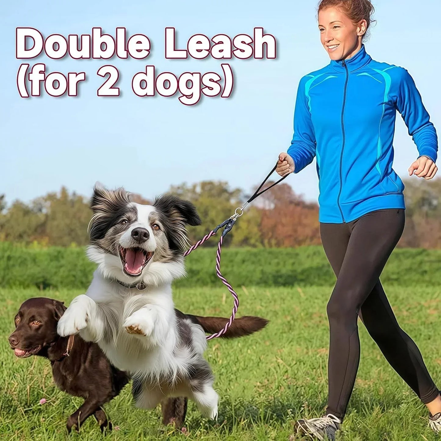 Double Bungee Dog Leash for 2 Dogs | Rebooters