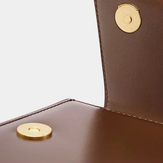 Close-up brown leather bag with gold magnetic snap closure detail