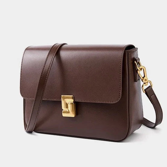Brown leather crossbody bag with gold clasp and hardware on white background
