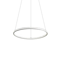 Acrylic Ring Chandelier Simple 1/2/3-Light LED Ceiling Pendant Lighting - Rebooters