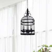 3/6 Bulbs Bird Cage Hanging Light with Candle Black Chandelier - Rebooters