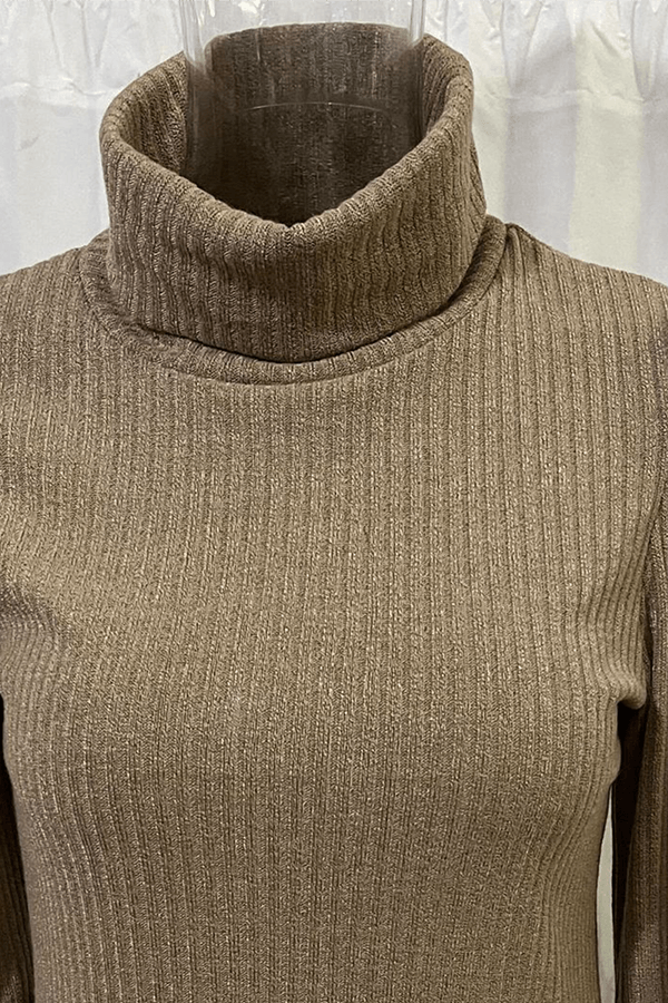 Women's Long Sleeve Turtleneck Top for Casual Chic Wear Rebooters Womens Shirts