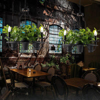 3/6 Bulbs Bonsai Ceiling Chandelier Vintage Iron Pendant Light - Rebooters