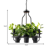 3/6 Bulbs Bonsai Ceiling Chandelier Vintage Iron Pendant Light - Rebooters