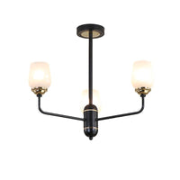 3/6/8 Lights Clear Glass Hanging Chandelier Black Pendant Light - Rebooters