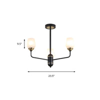 3/6/8 Lights Clear Glass Hanging Chandelier Black Pendant Light - Rebooters