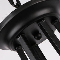 3/6/8 Lights Ceiling Light Traditional Flower Shape Frosted Glass Hanging Chandelier in Black - Rebooters