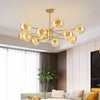 Clear Glass Sphere Ceiling Lighting Modern Style LED Chandelier - Rebooters
