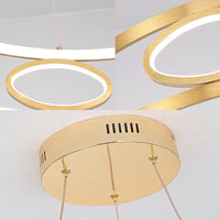 18"/23.5" Wide Twist Chandelier Lamp Modern Acrylic LED Gold Hanging Pendant Lamp - Rebooters