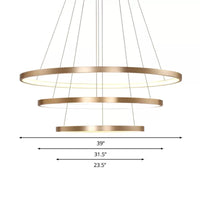 23.5"/31.5" Dia Gold Loop Chandelier Modern LED Ceiling Light - Rebooters