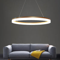 Acrylic Loop LED Ceiling Chandelier Gold Finish Dining Light - Rebooters