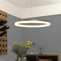Acrylic Loop LED Ceiling Chandelier Gold Finish Dining Light - Rebooters