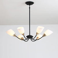 Black 3/6/8 Lights Pendant Chandelier Frosted Glass Shade - Rebooters