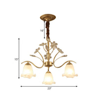 Antique Scalloped Chandelier 3/6/8-Light Gold Fixture - Rebooters