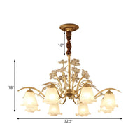 Antique Scalloped Chandelier 3/6/8-Light Gold Fixture - Rebooters