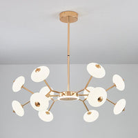 Bean Shaped Chandelier Minimalist Acrylic Bedroom LED Light - Rebooters