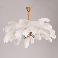Ostrich Feather Ceiling Chandelier Modern Nordic 5 Light Hanging Light - Rebooters
