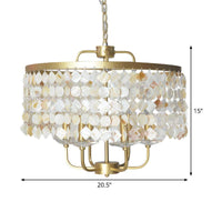 4/6 Bulbs Drum Ceiling Chandelier Traditional Shell Brass Lighting - Rebooters