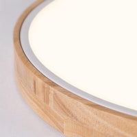 Contemporary Round Flush Mount LED Ceiling Light Fixture - Rebooters