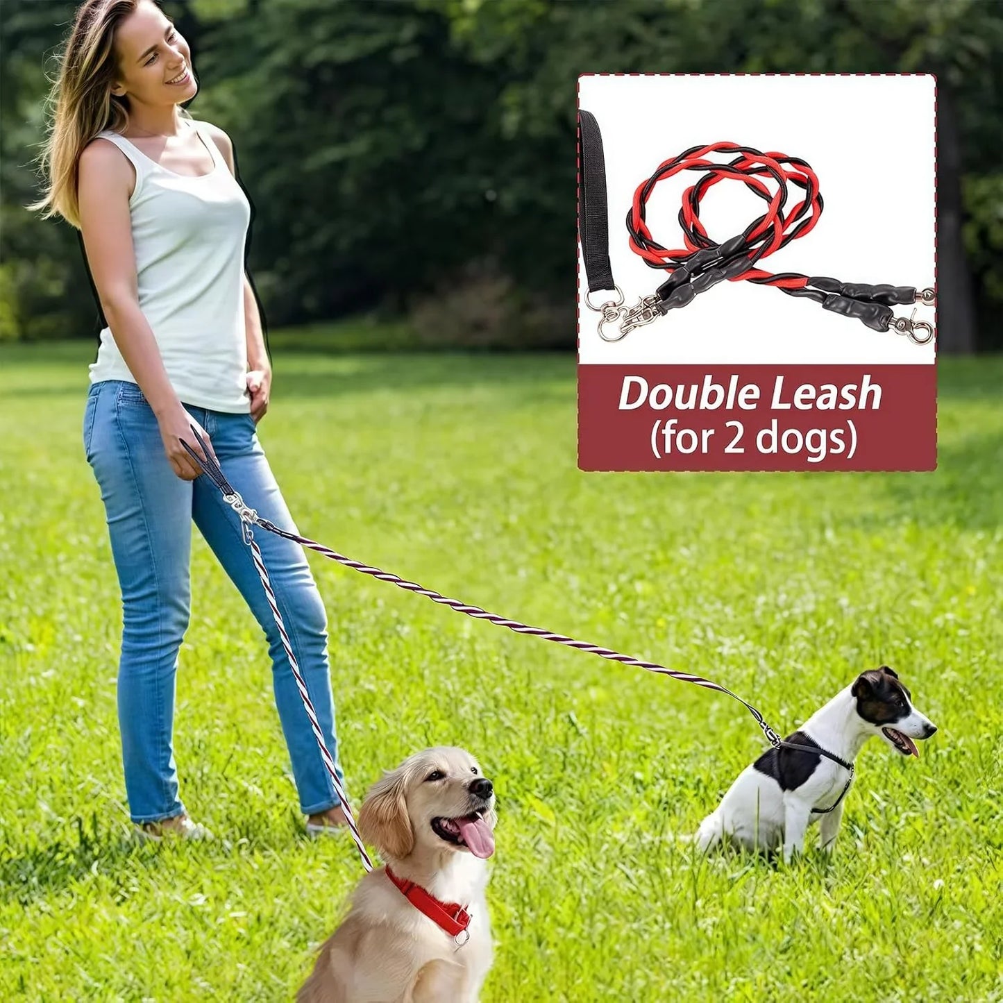 Double Bungee Dog Leash for 2 Dogs | Rebooters
