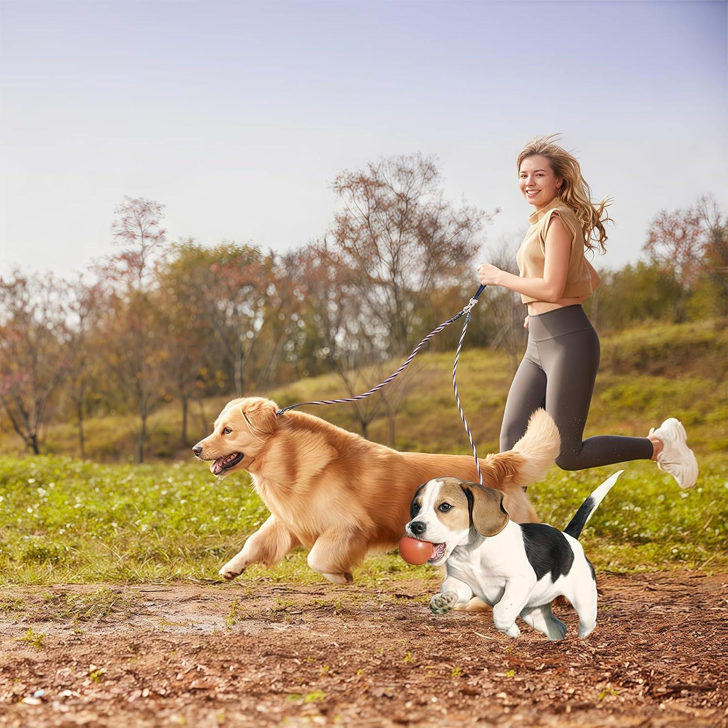 Double Bungee Dog Leash for 2 Dogs | Rebooters