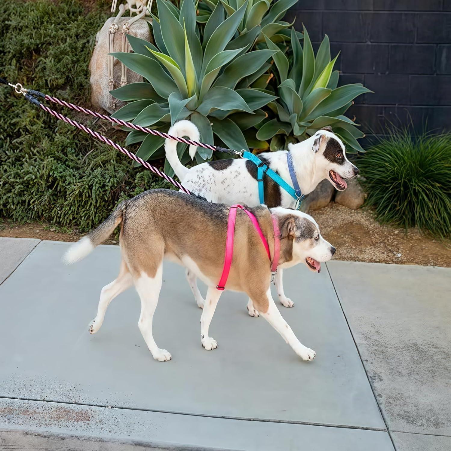 Double Bungee Dog Leash for 2 Dogs | Rebooters