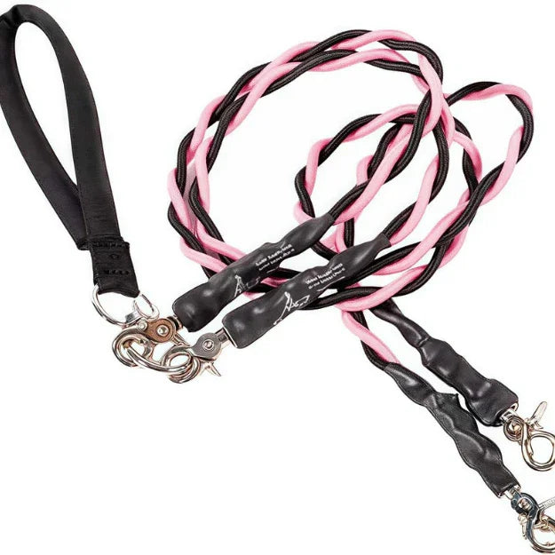Double Bungee Dog Leash for 2 Dogs | Rebooters