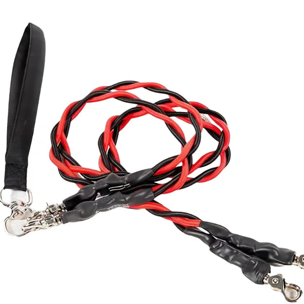 Double Bungee Dog Leash for 2 Dogs | Rebooters