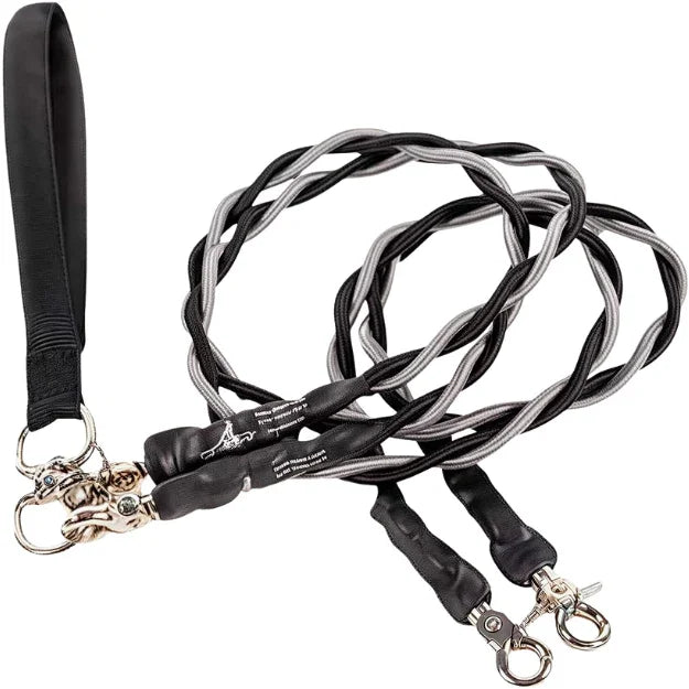 Double Bungee Dog Leash for 2 Dogs | Rebooters