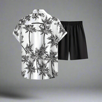Men's Lightweight Two-Piece Summer Outfit for Effortless Style Rebooters mens 2 piece set