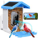 Solar Powered Smart Bird Feeder Camera 5MP FHD Night Vision - Rebooters