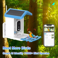 Solar Powered Smart Bird Feeder Camera 5MP FHD Night Vision - Rebooters
