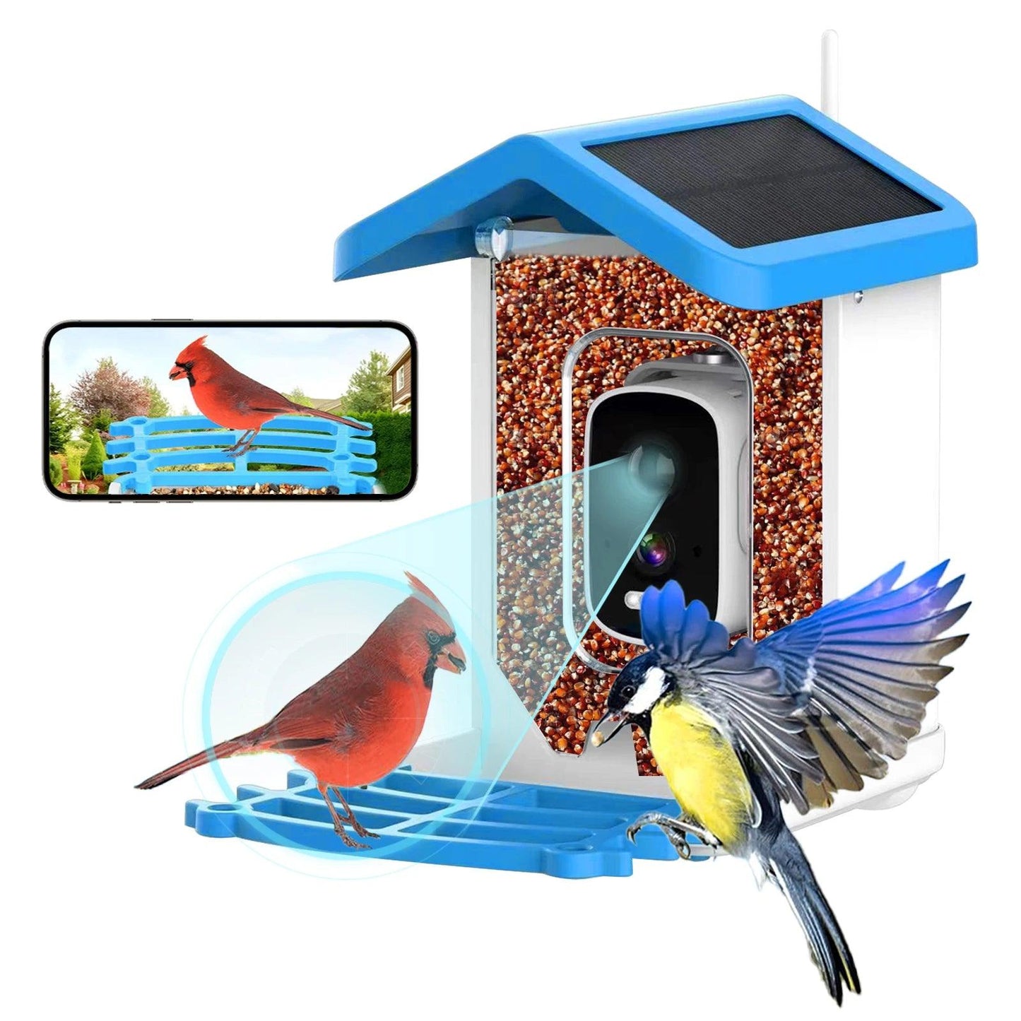 Solar Powered Smart Bird Feeder Camera 5MP FHD Night Vision - Rebooters