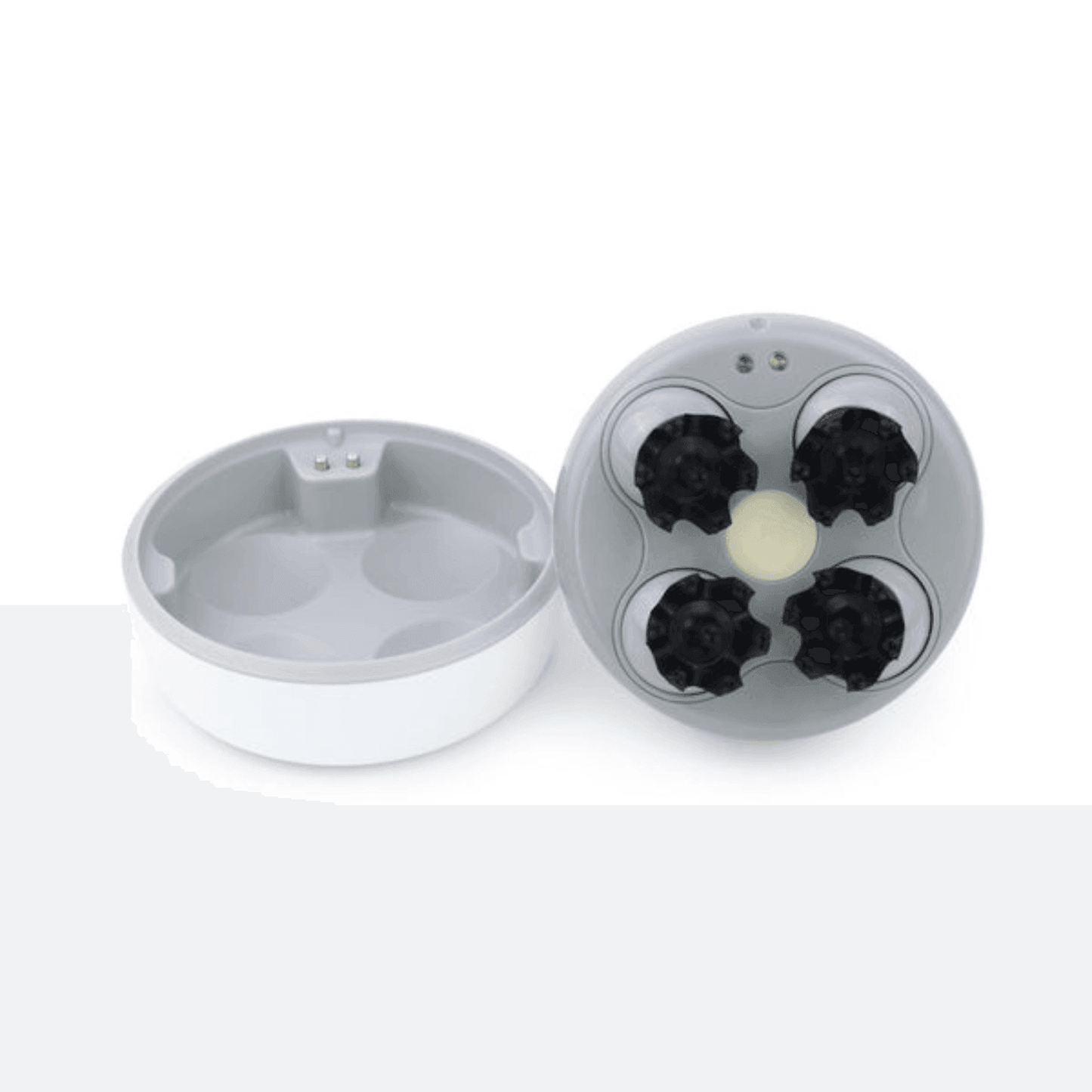 Electric Head, Scalp & Face Massager