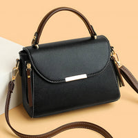 Pasqelina Eleganza Luxe Handbag Rebooters