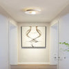 Disc-Shaped Minimalist Modern Ceiling Light for Indoor Use - Rebooters