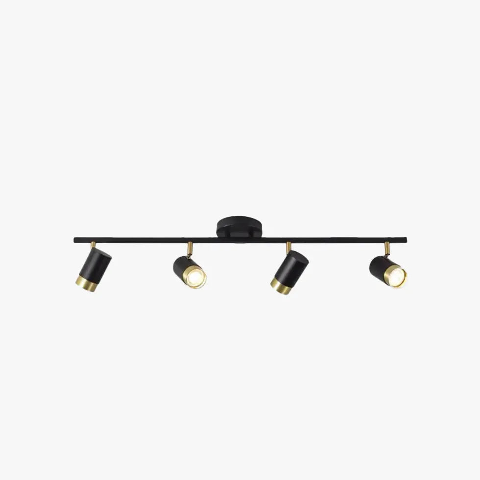 Adjustable Multiple Black Metal Light Heads for Ceiling Use - Rebooters