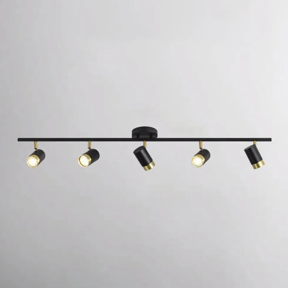 Adjustable Multiple Black Metal Light Heads for Ceiling Use - Rebooters