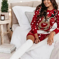 Womens Festive Reindeer Knit Dress for Holiday Cheer - Rebooters -Women's Dresses