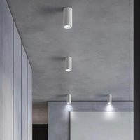 Cylindrical Living Room Modern Ceiling Downlight Fixture - Rebooters