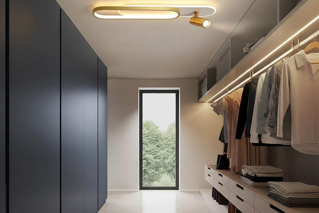 Oval Black Frame LED Modern Ceiling Light for Indoor Use - Rebooters