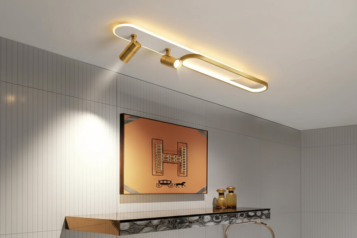 Oval Black Frame LED Modern Ceiling Light for Indoor Use - Rebooters