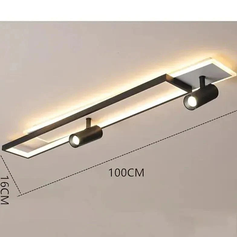 Double Layer Irradiation Black Flush Ceiling Lights Fixture - Rebooters