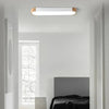 Elliptical Modern Hallway Flush Ceiling Lights Fixture - Rebooters