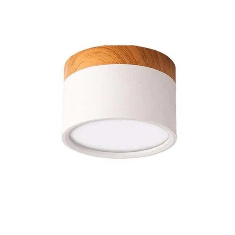 Yellow Downlight LED Modern Flush Ceiling Lights for Home - Rebooters