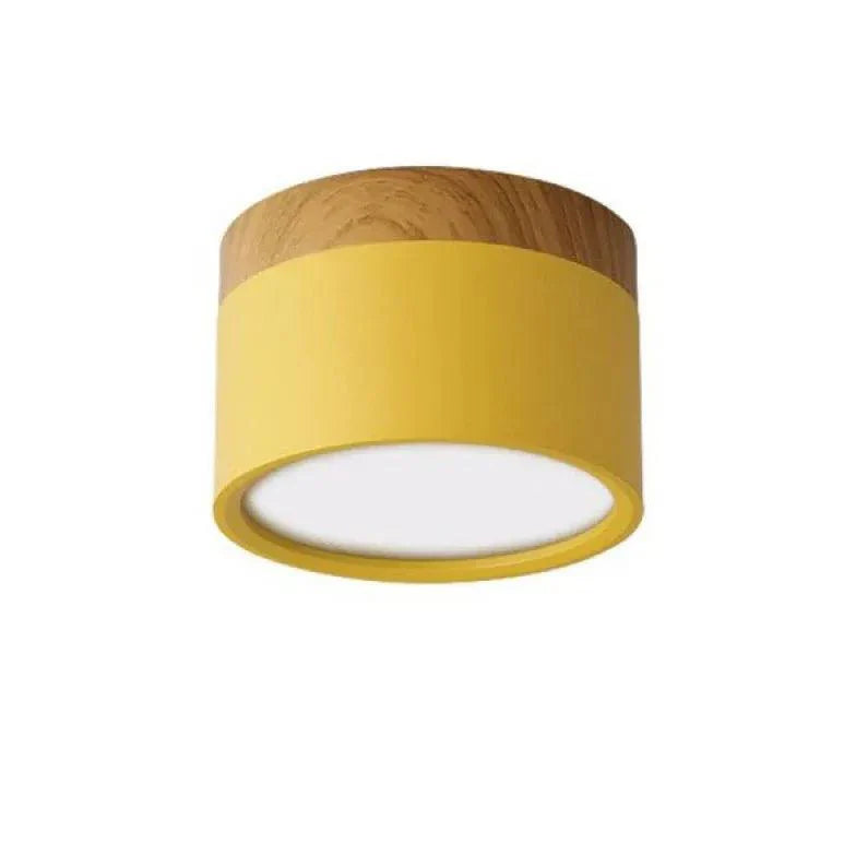 Yellow Downlight LED Modern Flush Ceiling Lights for Home - Rebooters