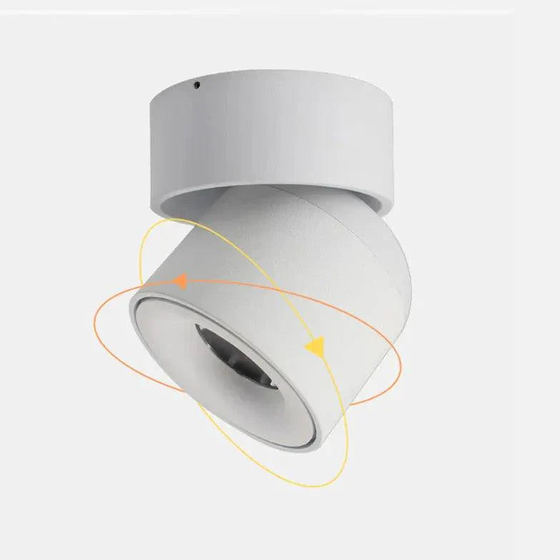 Cylindrical Adjustable Angle LED Flush Ceiling Lights for Home - Rebooters