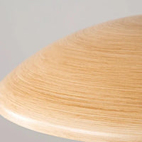 Spherical Warm-Toned Ceiling Light for Corridor Flush Mount - Rebooters