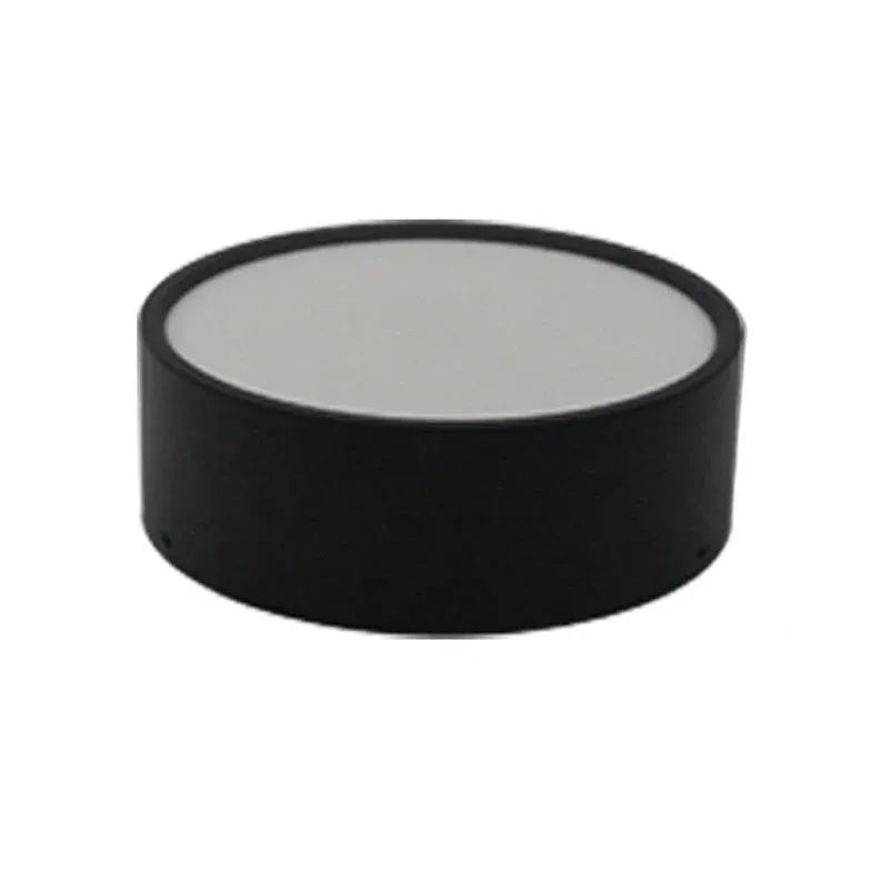 Small Round Black Ceiling Light for Living Room Fixture - Rebooters